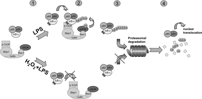 FIGURE 9.