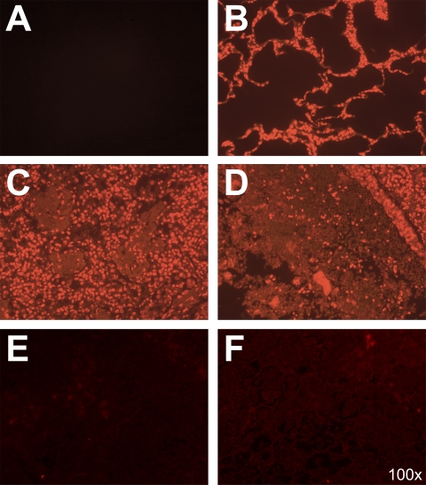 FIG. 8.