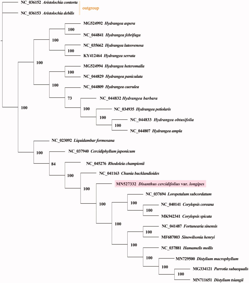 Figure 1.