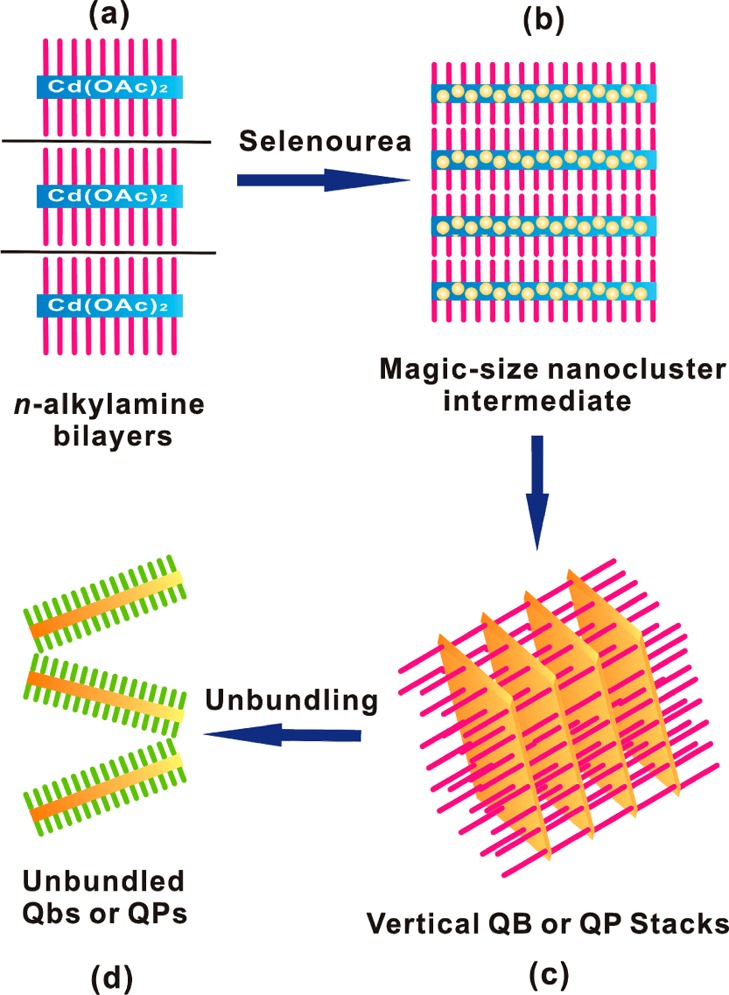 Scheme 2