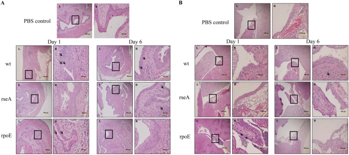 FIG 6