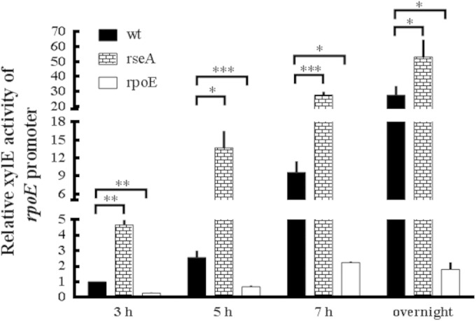 FIG 1