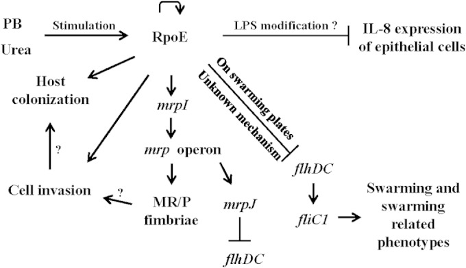 FIG 8