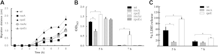 FIG 2