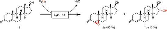 Scheme 1