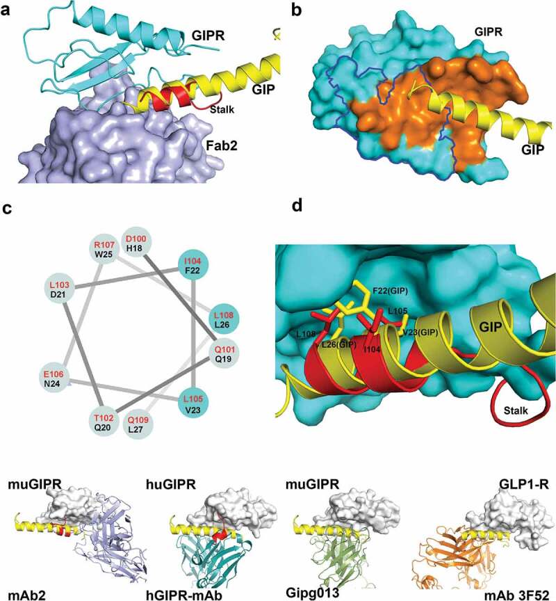 Figure 4.