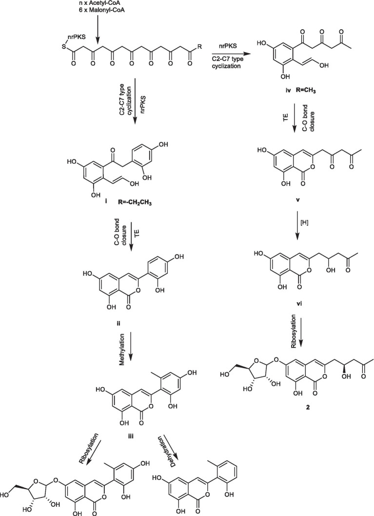 SCHEME 1