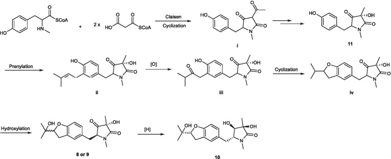 SCHEME 2