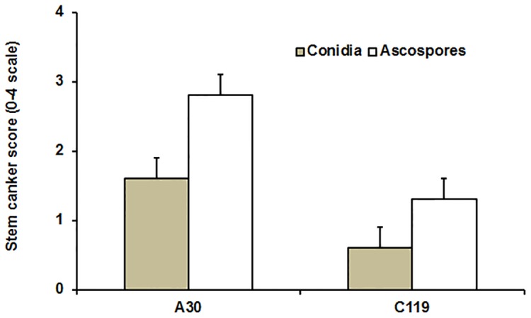 Figure 7