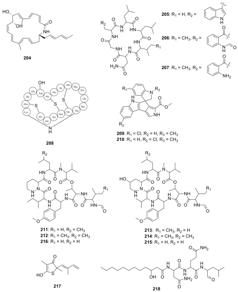 Figure 11