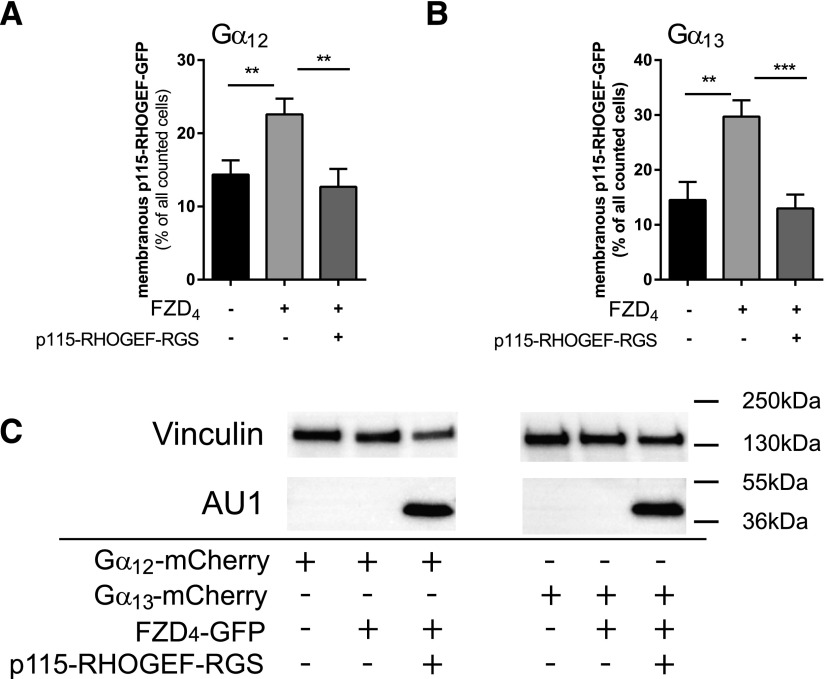 Fig. 9.