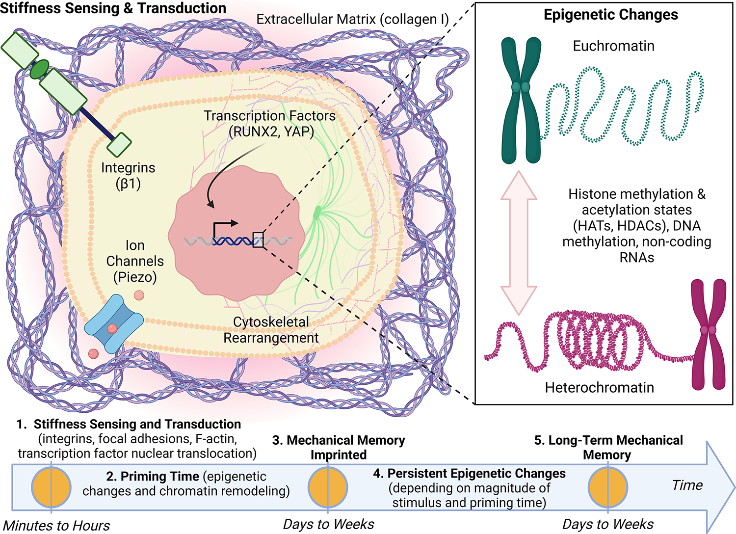 Figure 2: