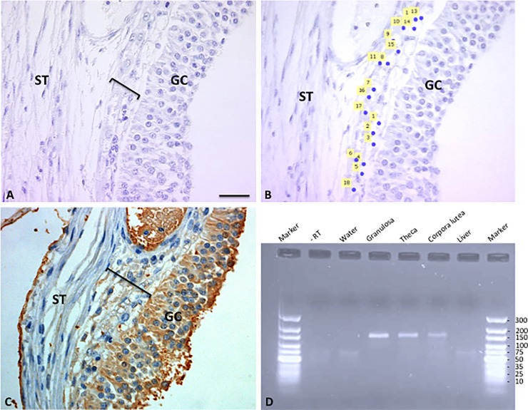 Fig 5