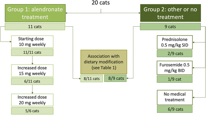 FIGURE 1