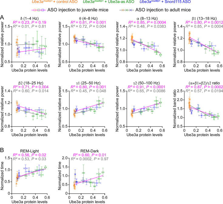 graphic file with name elife-104349-fig4.jpg