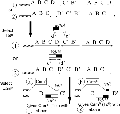 Figure 7.—