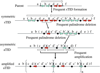 Figure 3.—