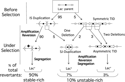 Figure 10.—