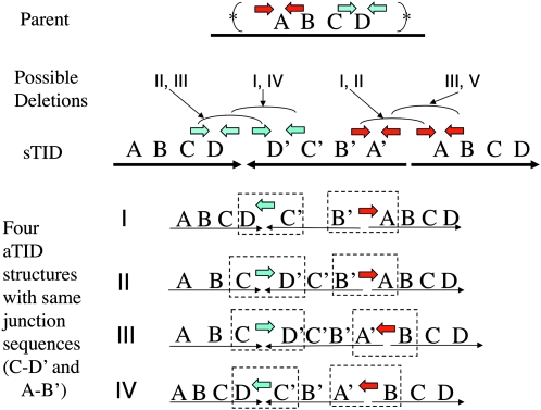 Figure 6.—