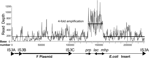 Figure 5.—