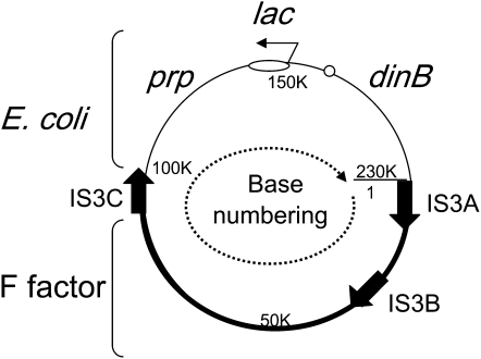 Figure 4.—