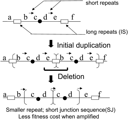 Figure 1.—