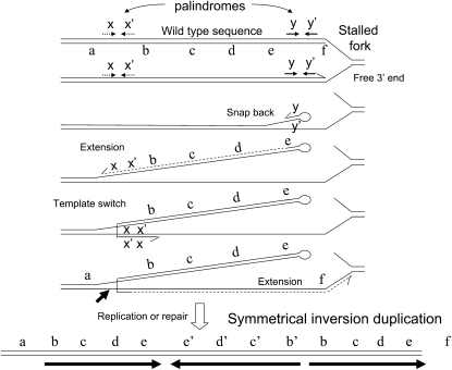 Figure 2.—