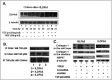 FIGURE 12.