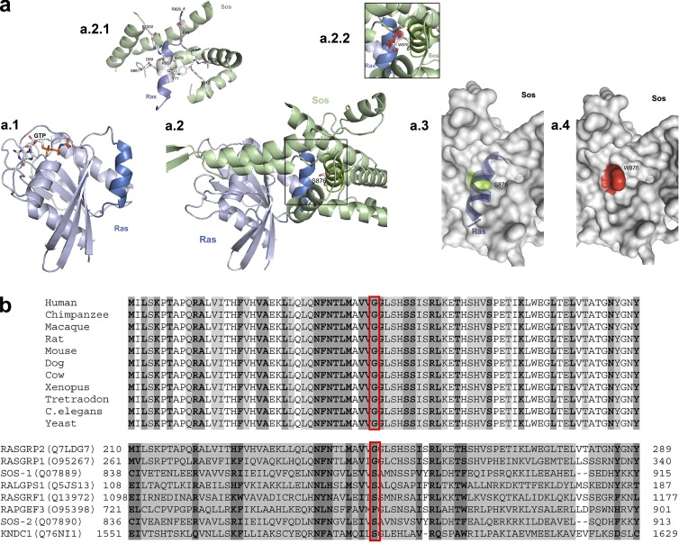 Figure 3.