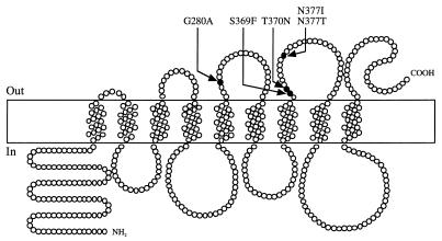 FIG. 1