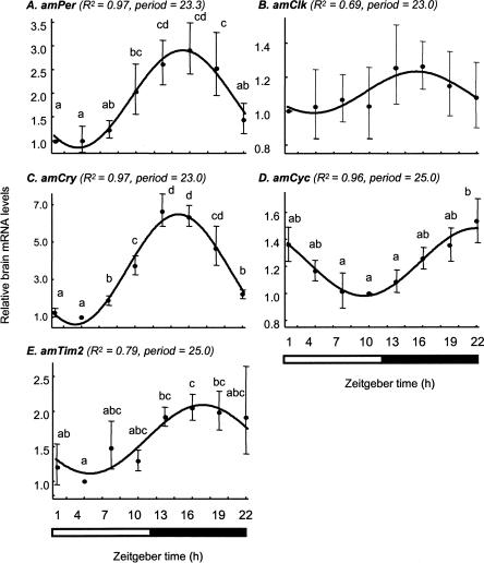 Figure 6.