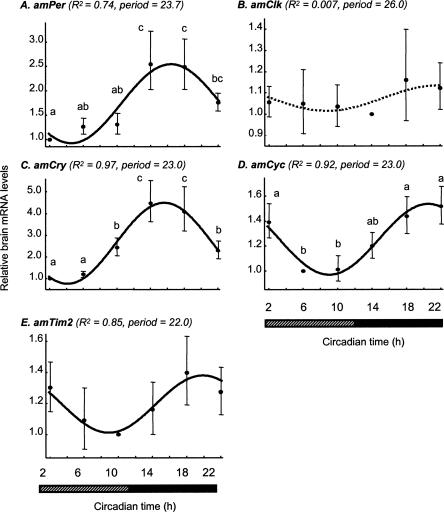 Figure 7.