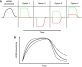 Various potential relationships between mRNA production and degradation can produce similar mRNA abundance profiles but with distinct kinetics: