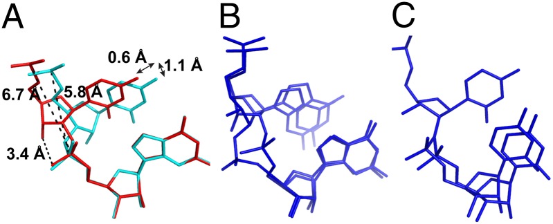 Fig. 5.