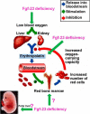 FIGURE 13.