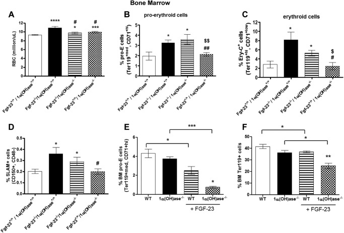 FIGURE 12.