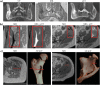 Fig. 4