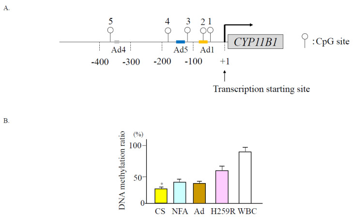 Figure 6