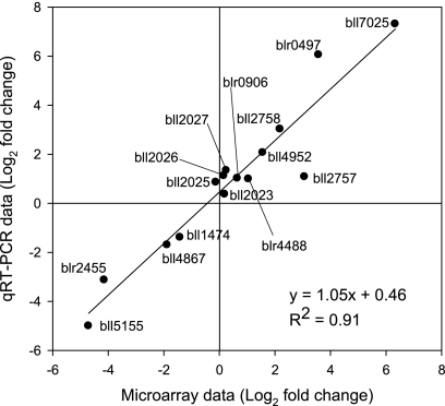 Fig 5