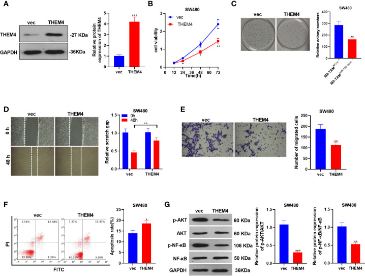 Figure 6