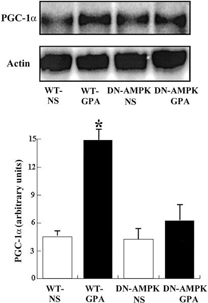 Fig 2.