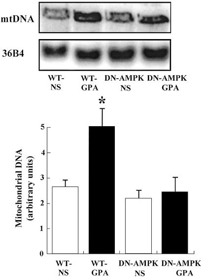 Fig 3.