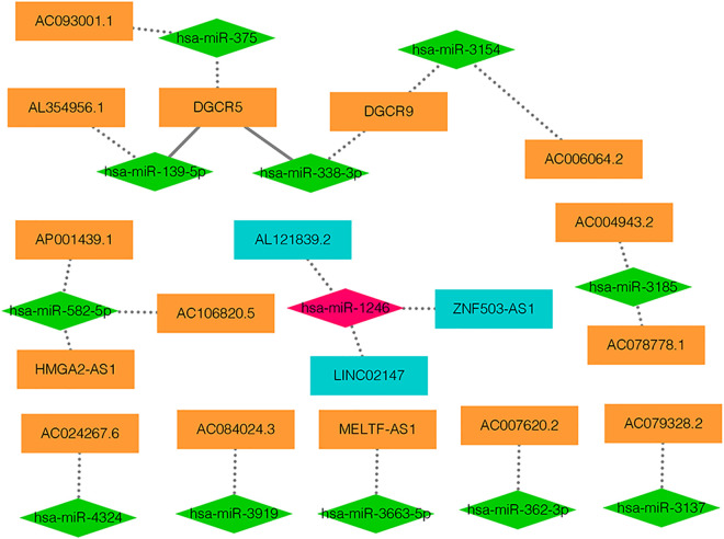 Figure 2.