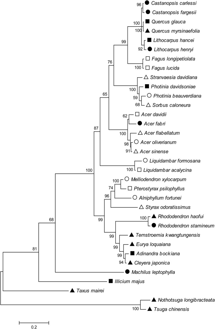 Figure 1.