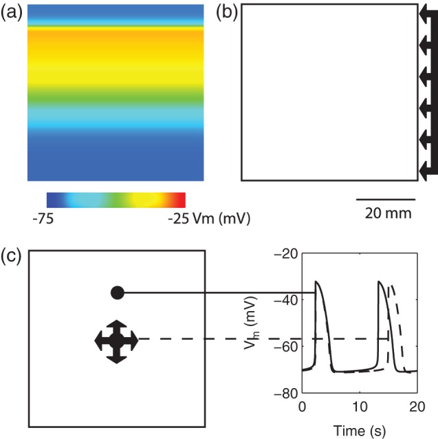 Fig. 3.