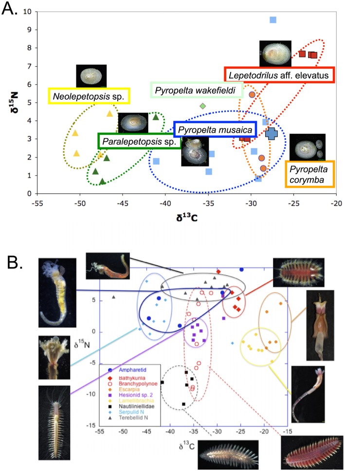 Fig 11