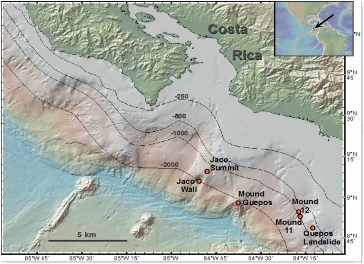 Fig 3