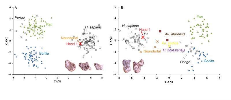 Figure 5