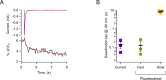 Figure 5—figure supplement 1.