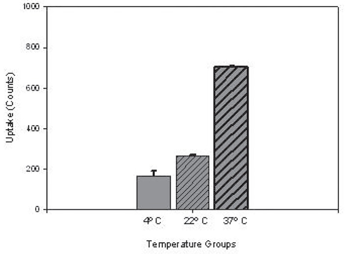 figure 6b